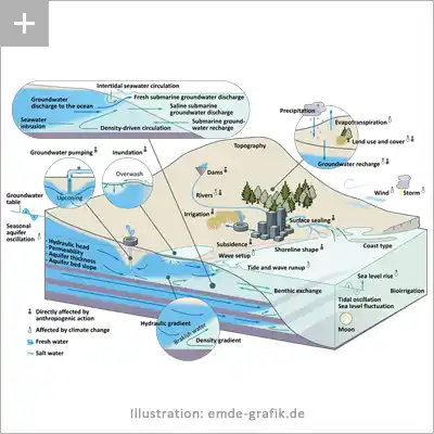 Hydrogeologie: <Küstennaher Grundwasser-Austausch